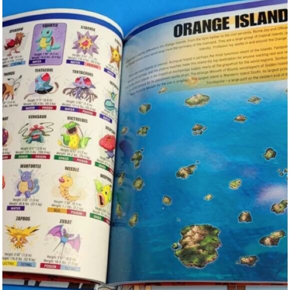 POKEMON Visual Companion Book - Picture 9 of 10